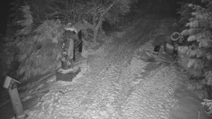 Skiareál Bílá - Bílá - běžecká trať - 20.2.2026 v 00:00 Skiareál Bílá - Bílá - běžecká trať - 20.2.2026 v 00:00