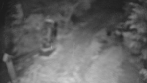 Skiareál Bílá - Bílá - běžecká trať - 20.2.2026 v 01:00 Skiareál Bílá - Bílá - běžecká trať - 20.2.2026 v 01:00