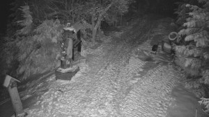 Skiareál Bílá - Bílá - běžecká trať - 20.2.2026 v 02:00 Skiareál Bílá - Bílá - běžecká trať - 20.2.2026 v 02:00