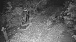 Skiareál Bílá - Bílá - běžecká trať - 20.2.2026 v 05:00 Skiareál Bílá - Bílá - běžecká trať - 20.2.2026 v 05:00