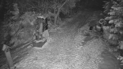 Bílá - běžecká trať