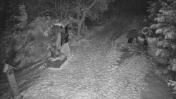 Bílá - běžecká trať