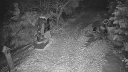 Bílá - běžecká trať