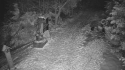 Bílá - běžecká trať