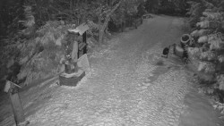 Bílá - běžecká trať