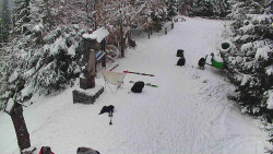 Bílá - běžecká trať