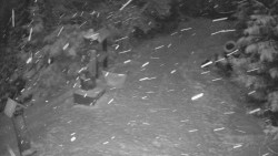 Bílá - běžecká trať