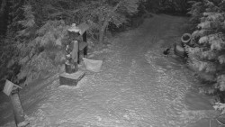 Bílá - běžecká trať