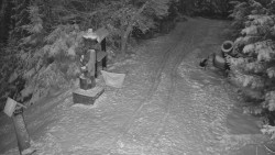 Bílá - běžecká trať