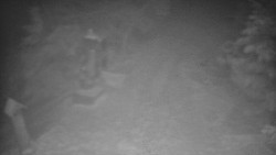 Bílá - běžecká trať