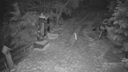 Bílá - běžecká trať