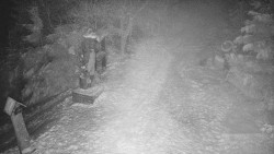 Bílá - běžecká trať