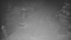 Bílá - běžecká trať