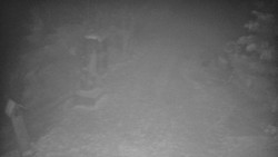 Bílá - běžecká trať