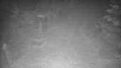 Bílá - běžecká trať