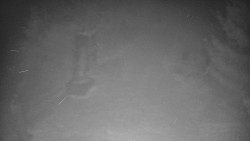 Bílá - běžecká trať