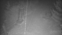 Bílá - běžecká trať