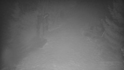 Bílá - běžecká trať