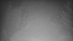 Bílá - běžecká trať