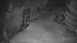 Bílá - běžecká trať