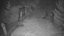 Bílá - běžecká trať