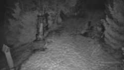 Bílá - běžecká trať