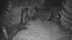 Bílá - běžecká trať