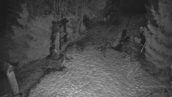 Bílá - běžecká trať