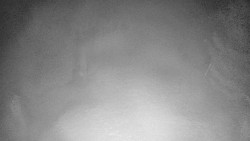 Bílá - běžecká trať