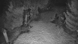 Bílá - běžecká trať