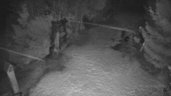 Bílá - běžecká trať