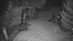 Bílá - běžecká trať