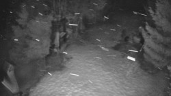 Bílá - běžecká trať