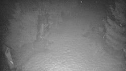 Bílá - běžecká trať