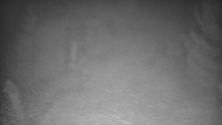 Bílá - běžecká trať