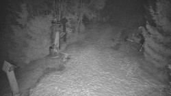 Bílá - běžecká trať