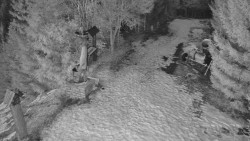 Bílá - běžecká trať