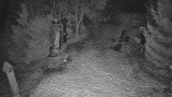 Bílá - běžecká trať