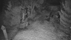 Bílá - běžecká trať