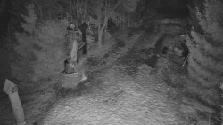 Bílá - běžecká trať