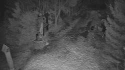 Bílá - běžecká trať