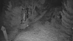 Bílá - běžecká trať