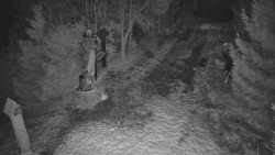 Bílá - běžecká trať