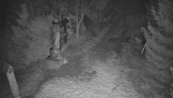 Bílá - běžecká trať