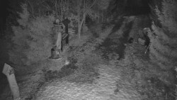 Bílá - běžecká trať