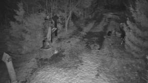 Skiareál Bílá - Bílá - běžecká trať - 3.3.2026 v 00:00 Skiareál Bílá - Bílá - běžecká trať - 3.3.2026 v 00:00