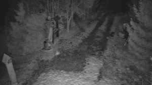 Skiareál Bílá - Bílá - běžecká trať - 3.3.2026 v 19:00 Skiareál Bílá - Bílá - běžecká trať - 3.3.2026 v 19:00