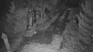 Skiareál Bílá - Bílá - běžecká trať - 3.3.2026 v 21:30 Skiareál Bílá - Bílá - běžecká trať - 3.3.2026 v 21:30