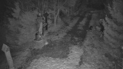 Bílá - běžecká trať