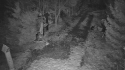 Bílá - běžecká trať